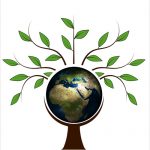 Welke Energie Leverancier Past Bij U? 3 Groene Stroom Aanbieders